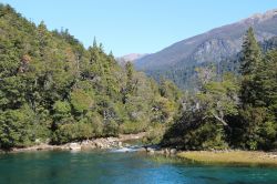 Il Parco Nazionale di Alerces a Esquel, Patagonia, Argentina. Questa regione argentina possiede uno dei boschi andino-patagonici più ricchi di vegetazione.
