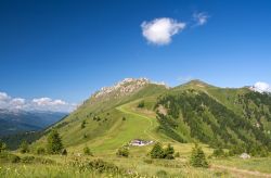 Il Passo di Lusia sulle Dolomiti, punto panoramico per ammirare la Val di Fassa e la Val di Fiamma tra Moena e Predazzo (Trentino Alto Adige).
