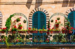 Il pittoresco balcone fiorito di un palazzo del centro di Lucca, Toscana.



