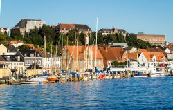 Il porto di Flensburg, nel Flensburger Förde sul Mar Baltico, fu nei secoli scorsi un importante luogo di commercio di rum proveniente dai Caraibi. - © Wila_Image / Shutterstock.com ...