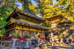 Il santuario di Toshogu visto all'alba, Nikko, Giappone.
