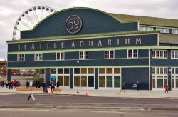 Il Seattle Aquarium situato al Pier 59 sul lungomare Elliott Bay, Washington. Aperto al pubblico nel maggio 1977, ogni anno è visitato da circa 800 mila persone - © EQRoy / Shutterstock.com ...