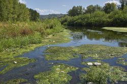 Il torrente Staffora vicino a Rivanazzano in Lombardia