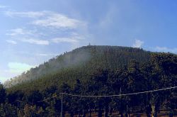 Il vulcano estinto di Roccamonfina in Campania - © Twilight - CC BY-SA 2.5 it, Wikipedia