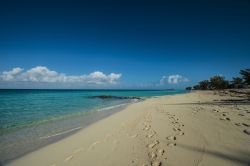Impronte sulla sabbia di una spiaggia a Bimini, arcipelago delle Bahamas. Il nome Bimini venne dato dai primi abitanti dell'isola: significa "due isole". Le più grandi sono ...