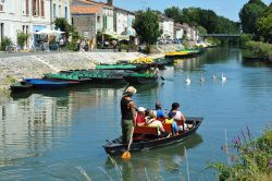 In barca tra i canali della Venice Verte in Aquitania Coulon Phillippe Wall bx