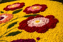 Infiorata artistica a Tortoli in Fiore, Ogliastra in Sardegna