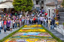 L'Infiorata del Corpus Domini a Cusano Mutri in Campania - © Francesca Sciarra / Shutterstock.com