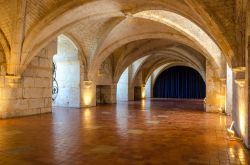 Ingresso con volte a botte nella distilleria Otard di Cognac, Francia - © Evgeny Shmulev / Shutterstock.com