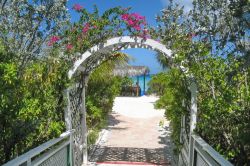 L'ingresso di una spiaggia a Half Moon Cay, Bahamas. A fare da cornice al mare cristallino e alla sabbia finissima e dorata è una natura verde e lussureggiante che si tinge spesso ...