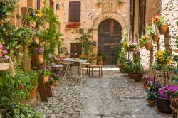 Ingresso romantico in una casa di Spello con fiori e vasi di piante, Umbria.



