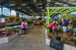 Interno del mercato di Cognac con fiori e generi alimentari freschi, Charente, Francia - © Evgeny Shmulev / Shutterstock.com