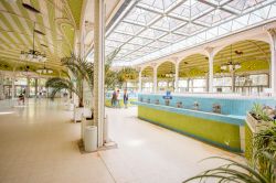 Interno di una sala delle terme di Vichy con acqua curativa, Francia - © RossHelen / Shutterstock.com