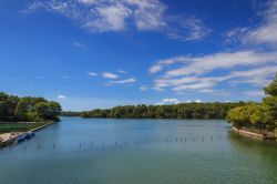 L'Oasi dei Laghi di Alimini in Salento, costa adriatica della Puglia