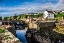 La baia del villaggio di pescatori St. Abbs in Scozia - © Phil Silverman / Shutterstock.com