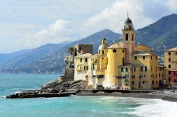 La Basilica di Santa Maria Assunta a Camogli - costruita su uno scoglio, direttamente affacciata sul mare, questa imponente chiesa a tre navate svetta nel panorama camogliese, tra il Mar Ligure ...