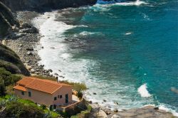 La bella spiaggia di Patresi, isola d'Elba, Toscana. Il fondale popolato da numerose specie di pesci, crostacei e flora marina, la rende perfetta anche per gli appassionati di snorkeling ...