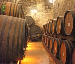 La Cantina del Redi collocata all'interno di Palazzo Ricci a Montepulciano, città della Toscana famosa per il suo pregiato vino - © Ana del Castillo / Shutterstock.com