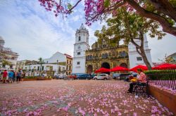 La cattedrale di Panama nel vecchio quartiere San Felipe a Panama City, Panama. L'edificio religioso venne costruito nel 1796 - © Fotos593 / Shutterstock.com