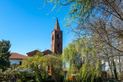 La Chiesa di Sant'Albino a Mortara in Lomellina (Lombardia)