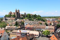 La città tedesca di Breisach sulle sponde del Reno: affacciata su questo fiume, è in bilico fra Germania e Francia - © 142226413 / Shutterstock.com