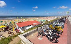 La costa olandese in estate. I Paesi Bassi, data l'assenza di rilievi montuosi, sono una meta ideale da visitare in bicicletta - foto © 250153681 / Shutterstock.com
