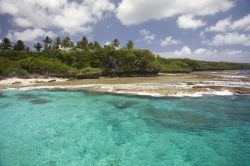 La costa di Alofi, isola di Niue, con la sua vegetazione vista da una barca nell'Oceano Pacifico.
