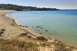 La costa di Marina di Pulsano, Taranto, Puglia. Il litorale è caratterizzato dall'alternanza di calette sabbiose e scogliere frastagliate che si affacciano su un mare limpido e cristallino.

 ...