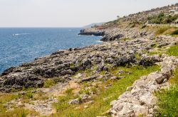 La costa rocciosa della Marina di Andrano in  Salento, Puglia