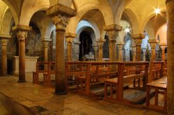 La cripta della cattedrale di Bitonto, Puglia. Qui sono conservati i resti di una chiesa precedente, databile attorno al V° secolo, fra cui un frammento di mosaico raffigurante un grifone.
 ...