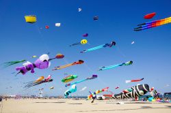 La grande spiaggia di Pinarella ospita il Festival Internazionale degli Aquiloni di Cervia - © Stefano Carnevali / Shutterstock.com