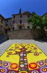 La manifestazione "Le Infiorate di Spello", Umbria. Si svolge ogni anno nella piccola città umbra in occasione della festa cattolica del Corpus Domini. Vengono preparati tappeti ...