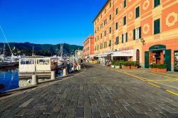 La marina di Santa Margherita Ligure - © marekusz / Shutterstock.com 