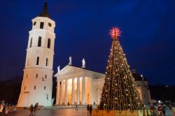 La Piazza della Cattedrale di Vilnius durante il Natale