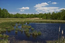 La riserva naturale nazionale S.O.O.S a Frantiskovy Lazne, Repubblica Ceca.
