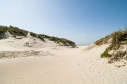 La sabbia di una spiaggia nel territorio di Zeeland, Paesi Bassi.



