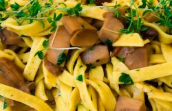 La Sagra dele Fettuccine ai funghi porcini ad Ascrea nel Lazio