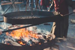 La Sagra della Castagna a San Donato di Ninea:festa d'autunno