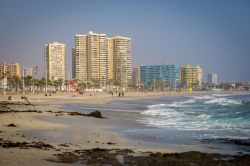 La spiaggia di Arica in una giornata di sole, nord del Cile. Sullo sfondo, alti palazzi della città.



