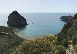 La Spiaggia di Cala del Porto a Palmarola nel Lazio