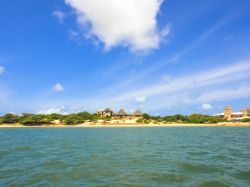 La spiaggia di Manda Island, Kenya, nei pressi dell'isola di Lamu. A bordo dei tradizionali dhow, le imbarcazioni locali, si possono scoprire gli angoli più suggestivi dell'isola.
 ...