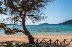 La spiaggia di Mugoni ad Alghero, sullo sfondo Capo Caccia (Sardegna).
