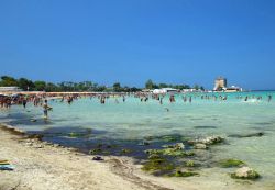 La spiaggia di Sant'Isidoro e il mare limpido ...