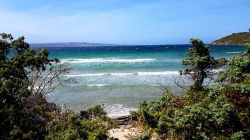 La Spiaggia Grande di Calasetta in Sardegna.
