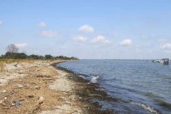 La spiaggia selvaggia a nord di Lido di Volano, in direzione della  foce del ramo più meridionale del fiume Po 