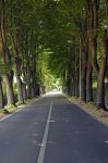 La strada che da  Lucca conduce a Camaiore  in Toscana