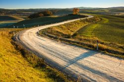 La strada spettacolare che collega Castelnuovo Berardenga con Montaperti nel magico paesaggio della Toscana