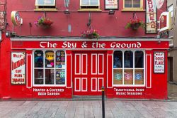 La tipica The Sky and the Ground public house di Wexford - © Martin Good / Shutterstock.com