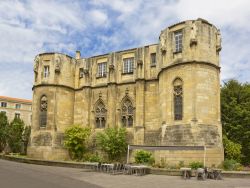 La torre Maubergeon del palazzo di Poitiers, Francia. Si tratta di uno degli elementi principali dell'ex maniero dei conti di Poituers, testimonianza medievale dello stile gotico angevino.



 ...