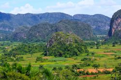 La Valle di Viñales a Cuba, dove viene coltivato il tabacco usato per produrre i famosi sigari cubani.